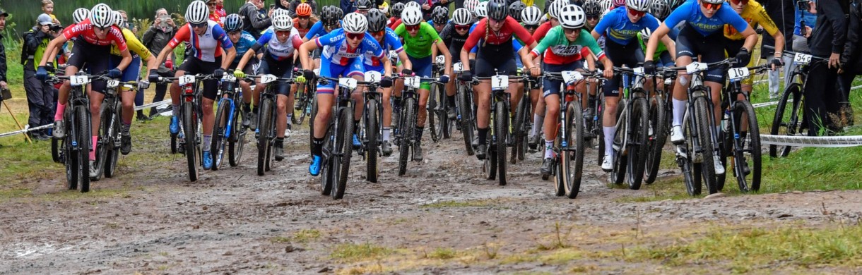 LE COMITÉ DIRECTEUR DE L’UEC FIXE LES PRIORITÉS À VENIR