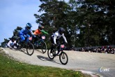 Gent - Wevelgem 2025 - 87th Edition - Ieper - Wevelgem 250,3 km - 30/03/2025 -  - photo Ivan Benedetto/SprintCyclingAgency?2025