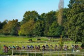 2023 UEC Gravel European Championships  -  1st edition - Oud-Heverlee - 01/10/2023 - photo Massimo Fulgenzi/SprintCyclingAgency?2023
