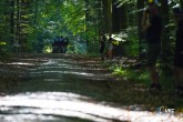 2023 UEC Gravel European Championships  -  1st edition - Oud-Heverlee - 01/10/2023 - photo Massimo Fulgenzi/SprintCyclingAgency?2023