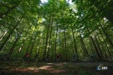 2023 UEC Gravel European Championships  -  1st edition - Oud-Heverlee - 01/10/2023 - photo Massimo Fulgenzi/SprintCyclingAgency?2023