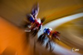 UEC TRACK JUNIORS & U23 EUROPEAN CHAMPIONSHIPS 2025 - Anadia (Portugal) -  - 16/07/2025 -  - photo Tommaso Pelagalli/SprintCyclingAgency?2025